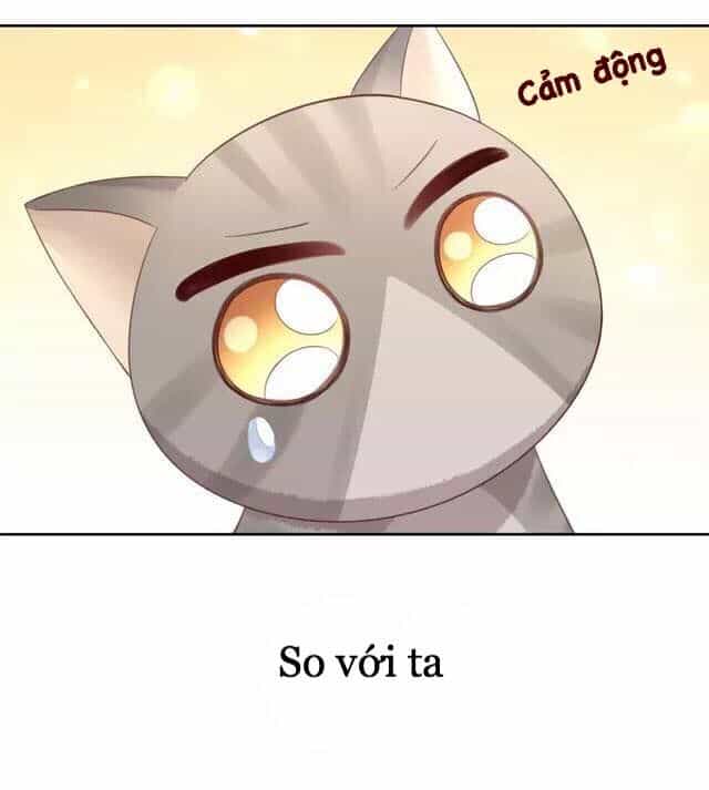 Dưới Móng Vuốt Mèo - Chương 20 - ảnh 35