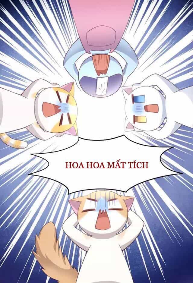 Dưới Móng Vuốt Mèo - Chương 20 - ảnh 5