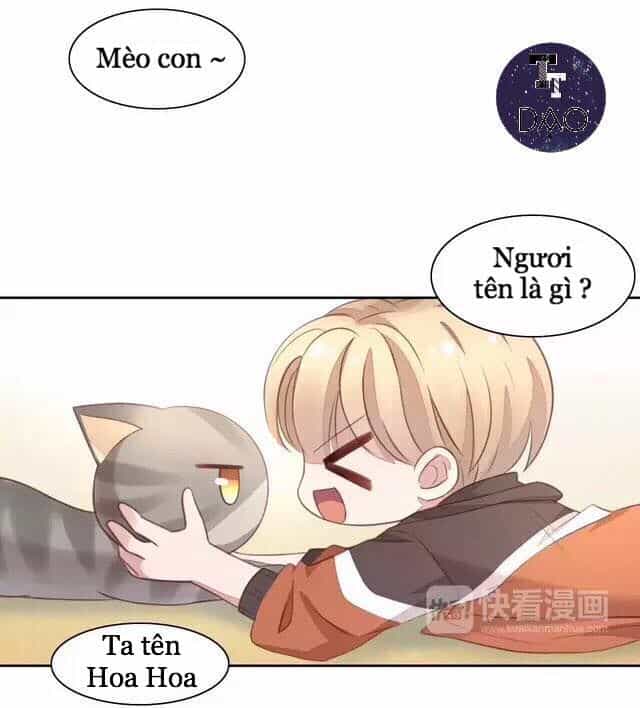 Dưới Móng Vuốt Mèo - Chương 20 - ảnh 8