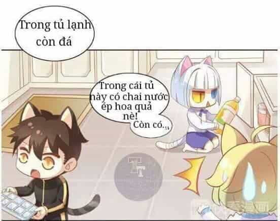 Dưới Móng Vuốt Mèo - Chương 3 - ảnh 12