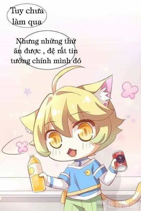 Dưới Móng Vuốt Mèo - Chương 3 - ảnh 30