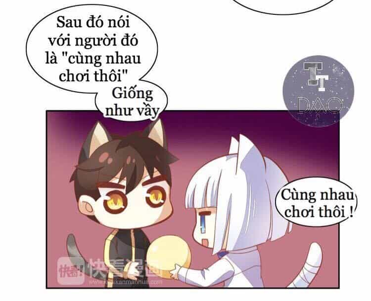 Dưới Móng Vuốt Mèo - Chương 4 - ảnh 16