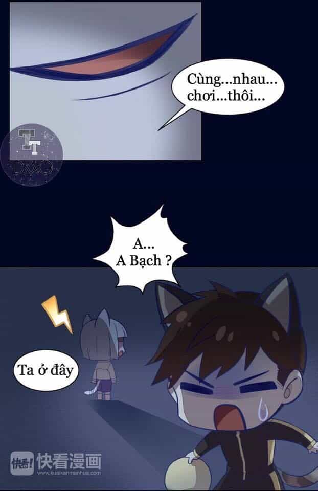 Dưới Móng Vuốt Mèo - Chương 4 - ảnh 24