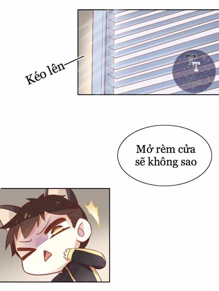 Dưới Móng Vuốt Mèo - Chương 4 - ảnh 28
