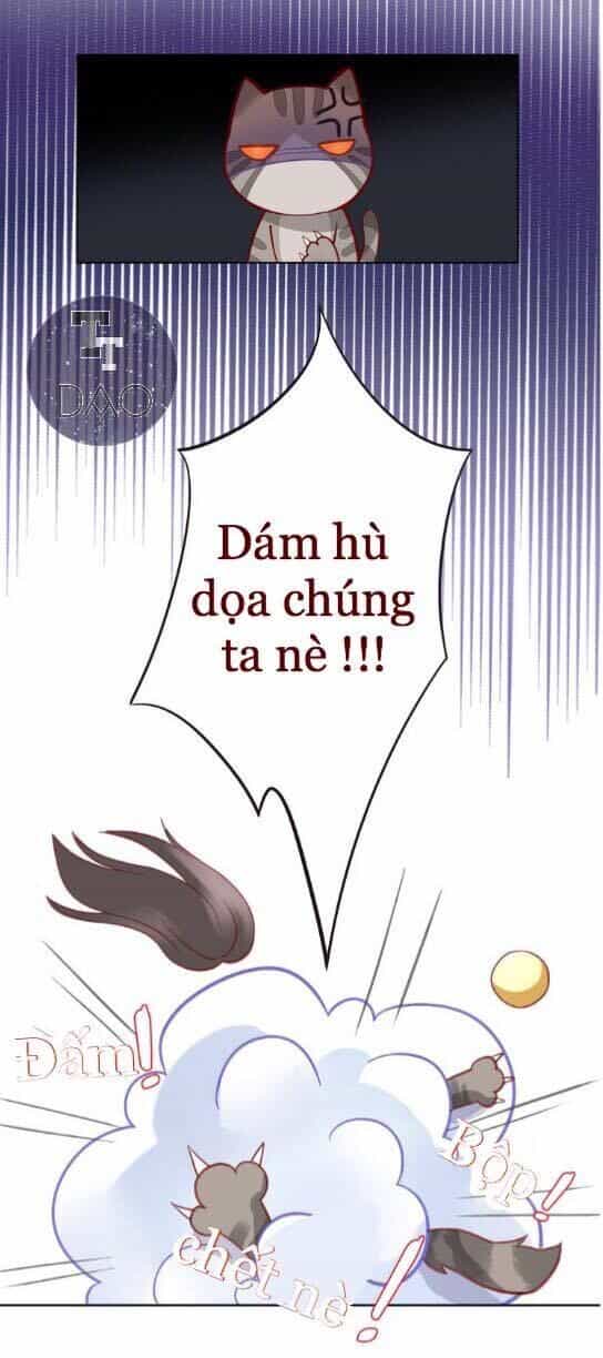 Dưới Móng Vuốt Mèo - Chương 4 - ảnh 30
