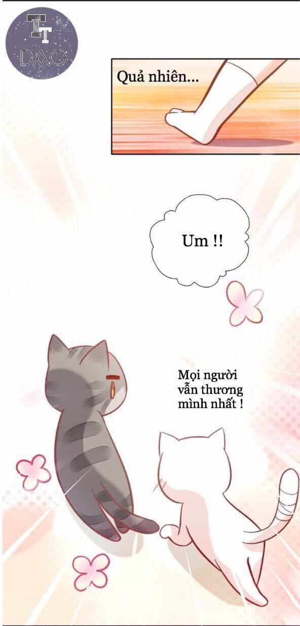 Dưới Móng Vuốt Mèo - Chương 4 - ảnh 37