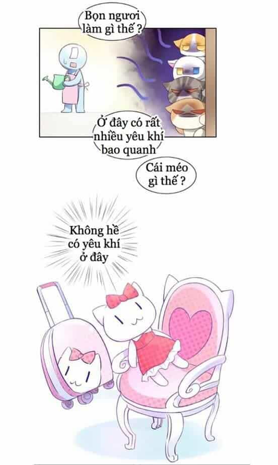 Dưới Móng Vuốt Mèo - Chương 5 - ảnh 8