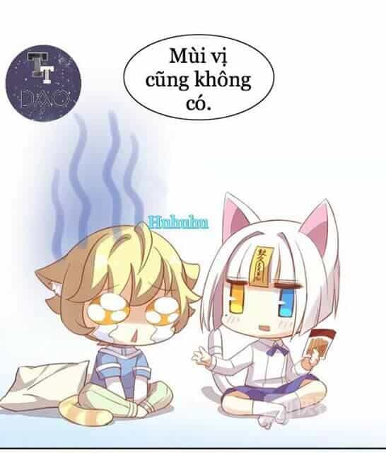 Dưới Móng Vuốt Mèo - Chương 6 - ảnh 14