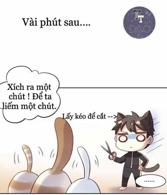 Dưới Móng Vuốt Mèo - Chương 6 - ảnh 19