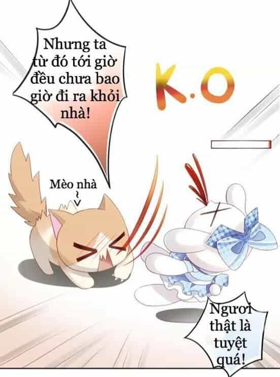 Dưới Móng Vuốt Mèo - Chương 7 - ảnh 21