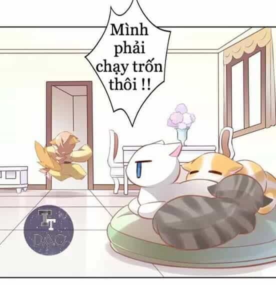 Dưới Móng Vuốt Mèo - Chương 7 - ảnh 6