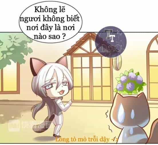 Dưới Móng Vuốt Mèo - Chương 8 - ảnh 15