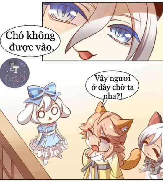 Dưới Móng Vuốt Mèo - Chương 8 - ảnh 18
