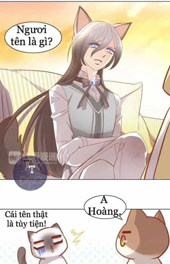 Dưới Móng Vuốt Mèo - Chương 8 - ảnh 24
