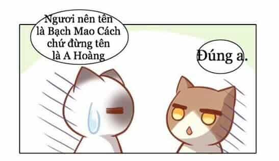 Dưới Móng Vuốt Mèo - Chương 8 - ảnh 25