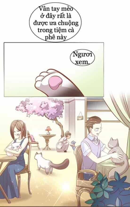 Dưới Móng Vuốt Mèo - Chương 8 - ảnh 29