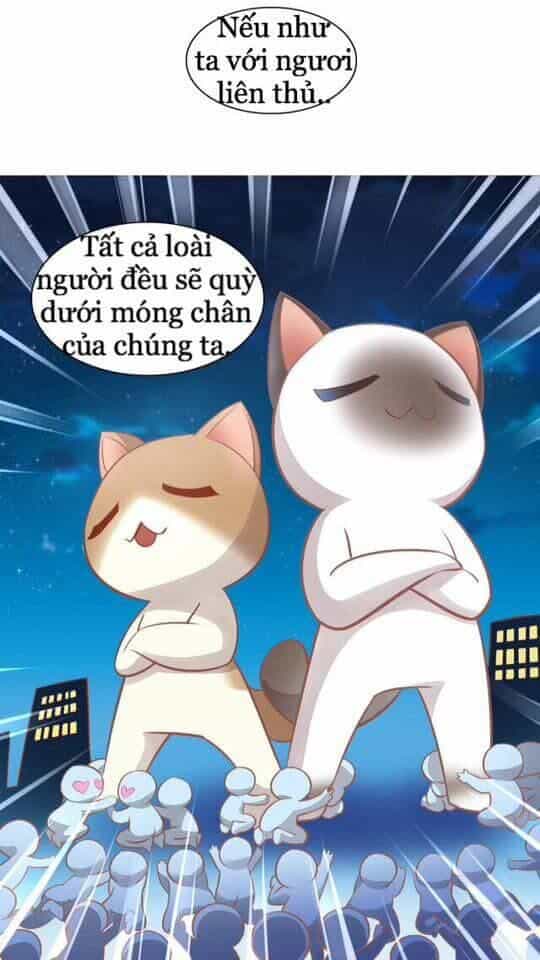 Dưới Móng Vuốt Mèo - Chương 8 - ảnh 37