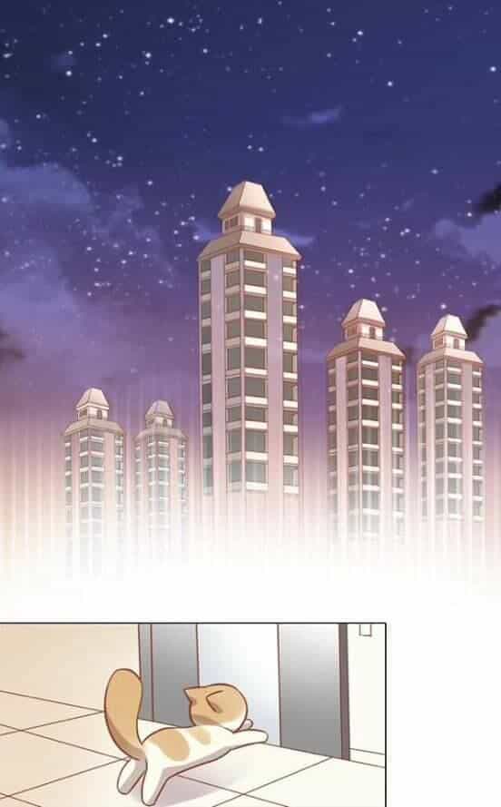 Dưới Móng Vuốt Mèo - Chương 8 - ảnh 48