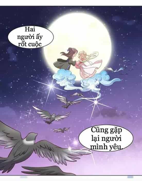 Dưới Móng Vuốt Mèo - Chương 9 - ảnh 15
