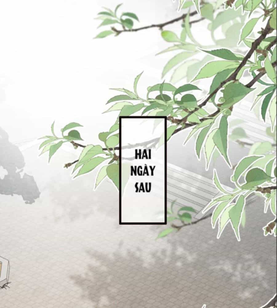 Đứt Cương - Chương 30 - ảnh 10
