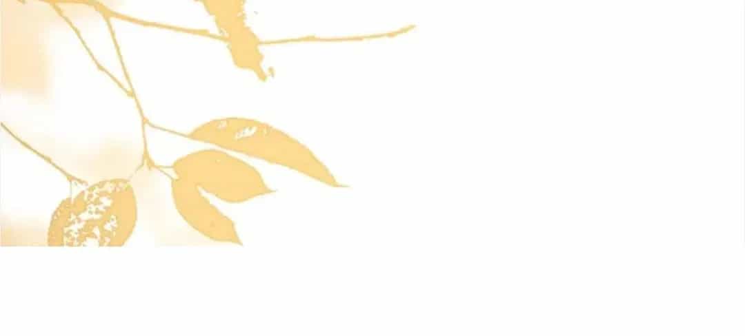 Em Là Tất Cả Tinh Tú Của Anh - Chương 61 - ảnh 67