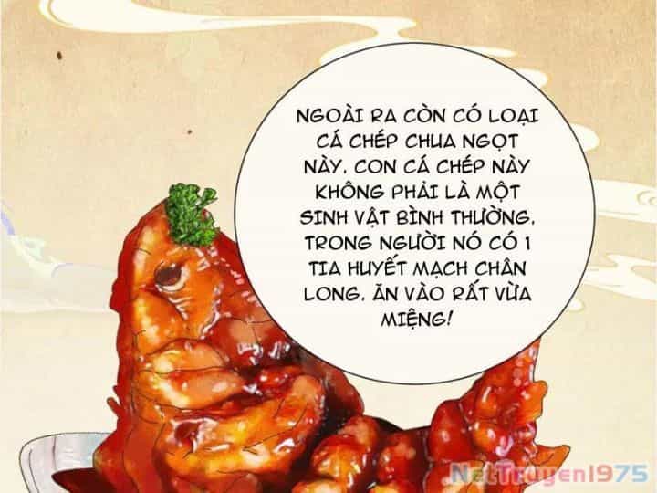 Gặp Mạnh Thì Càng Mạnh, Tu Vi Của Ta Không Giới Hạn - Chương 41 - ảnh 22