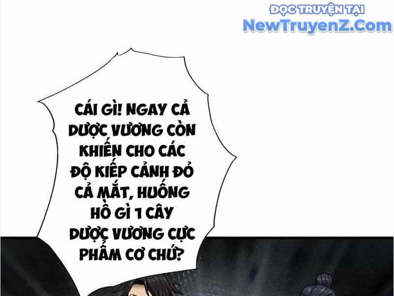 Gặp Mạnh Thì Càng Mạnh, Tu Vi Của Ta Không Giới Hạn - Chương 48 - ảnh 27