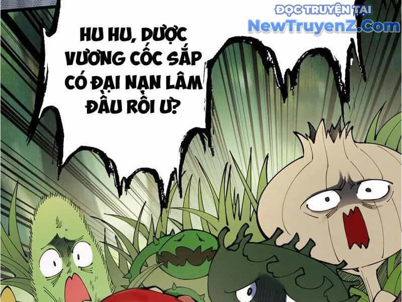 Gặp Mạnh Thì Càng Mạnh, Tu Vi Của Ta Không Giới Hạn - Chương 48 - ảnh 5