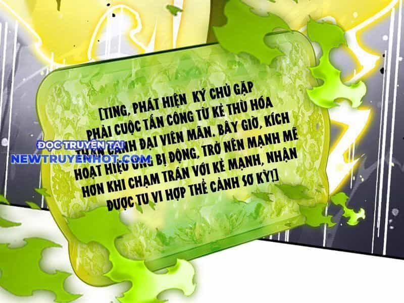 Gặp Mạnh Thì Càng Mạnh, Tu Vi Của Ta Không Giới Hạn - Chương 5.5 - ảnh 22
