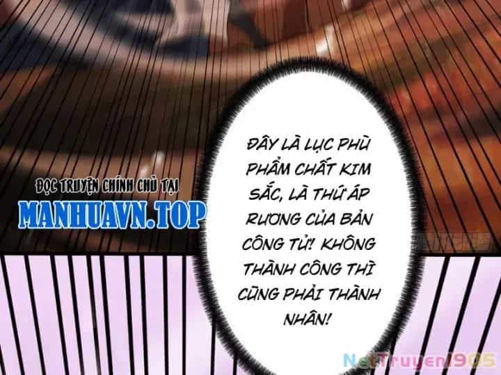 Gặp Mạnh Thì Càng Mạnh, Tu Vi Của Ta Không Giới Hạn - Chương 82 - ảnh 118