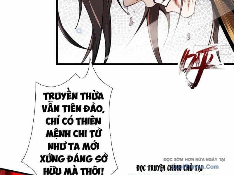 Gặp Mạnh Thì Càng Mạnh, Tu Vi Của Ta Không Giới Hạn - Chương 85 - ảnh 88