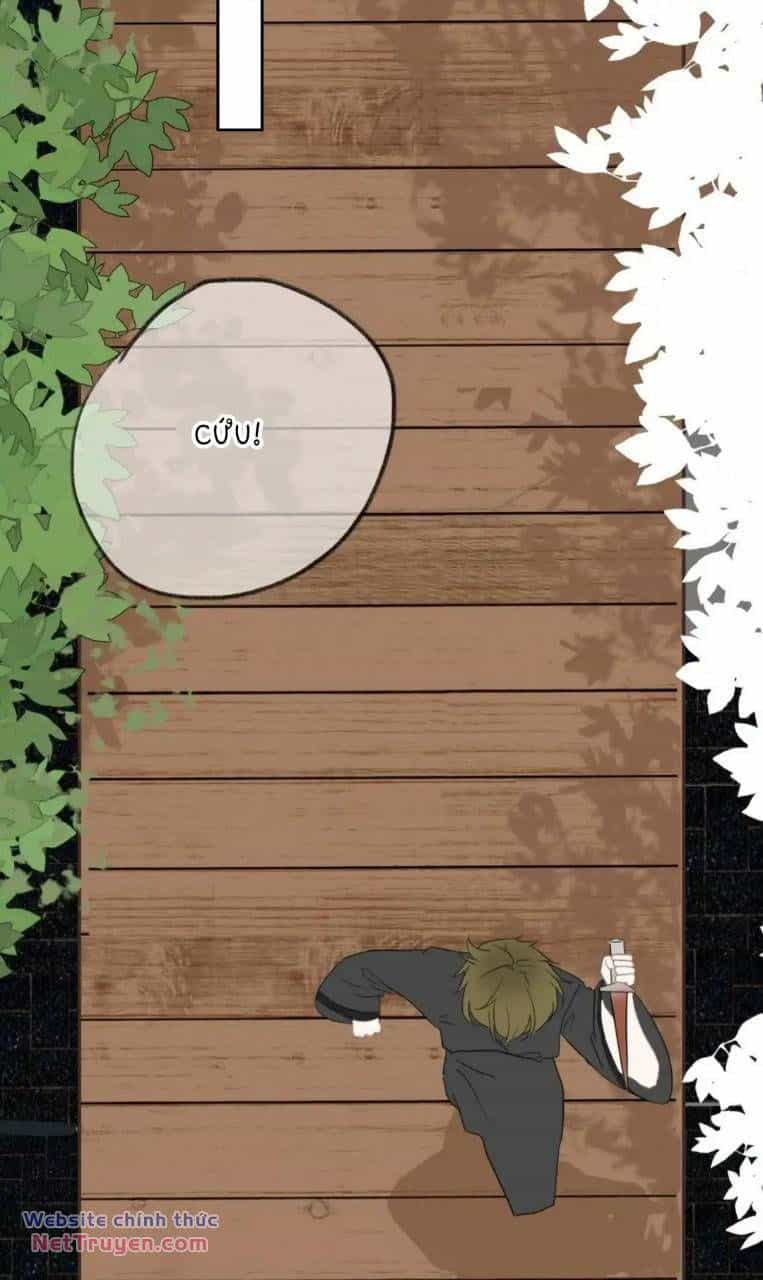 Ghi Chú Hoa Anh Đào - Chương 3 - ảnh 5