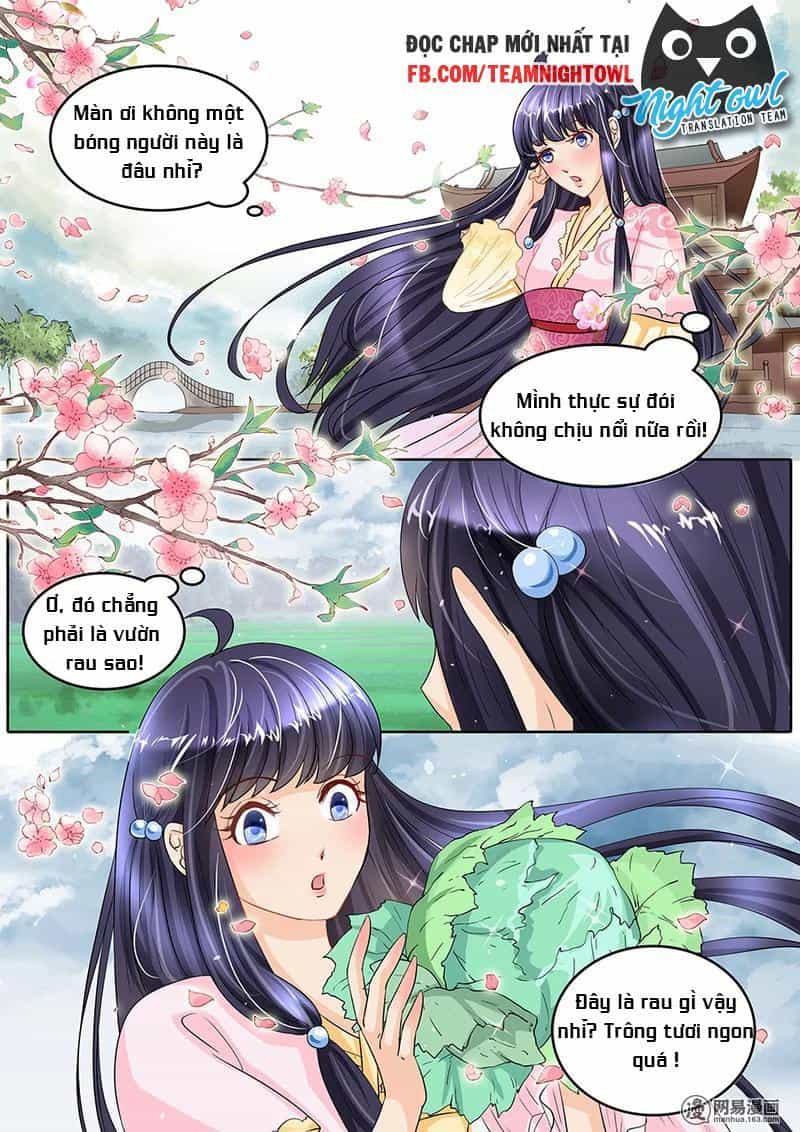 Gia Huynh Ở Lại Tìm Đường Chết - Chương 12 - ảnh 3