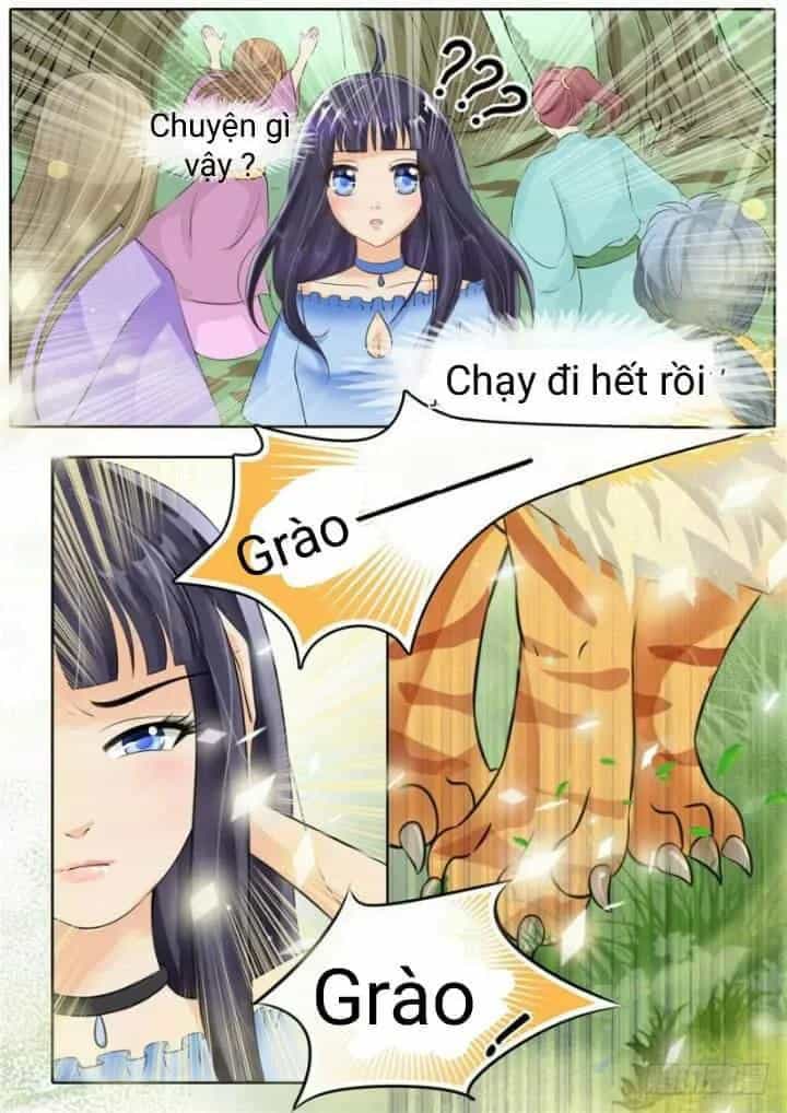Gia Huynh Ở Lại Tìm Đường Chết - Chương 2 - ảnh 9