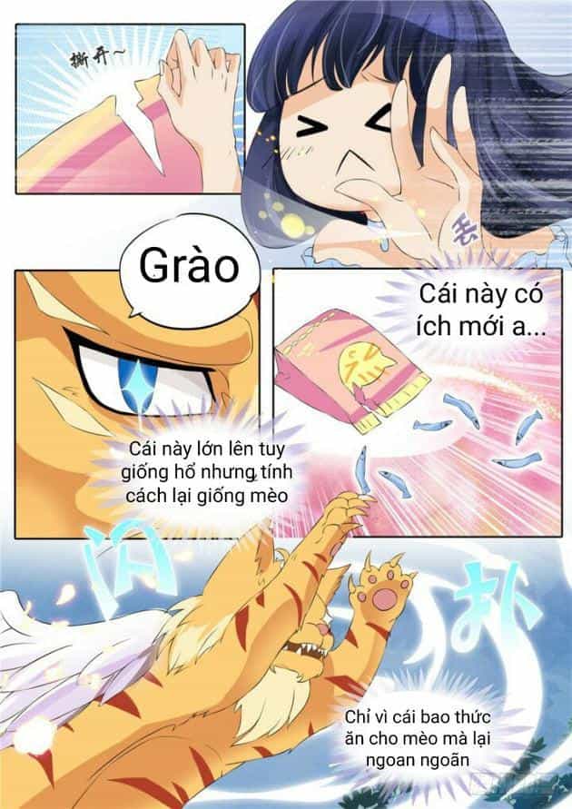 Gia Huynh Ở Lại Tìm Đường Chết - Chương 3 - ảnh 9