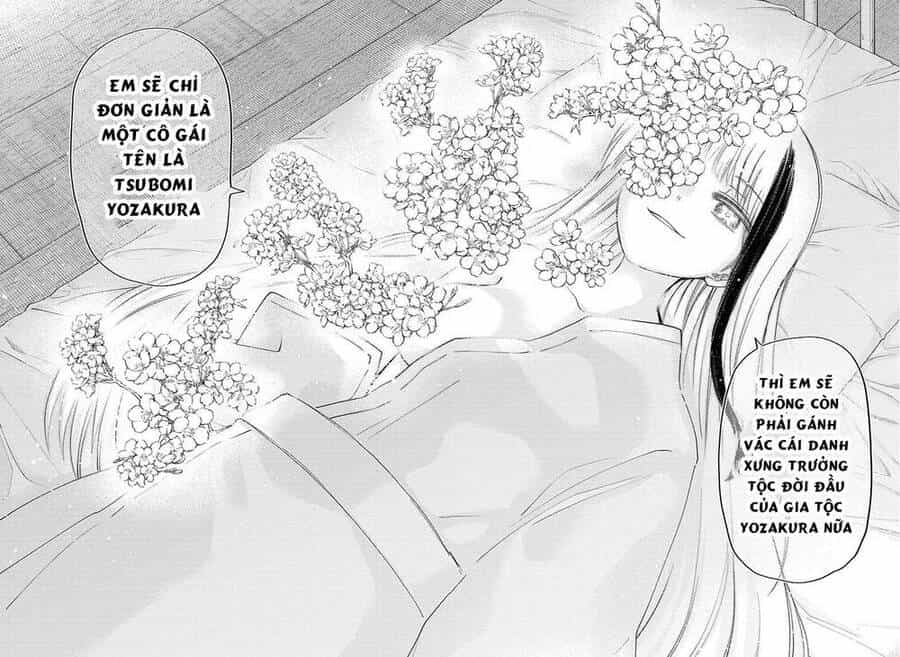 Gia Tộc Điệp Viên Yozakura - Chương 80 - ảnh 12