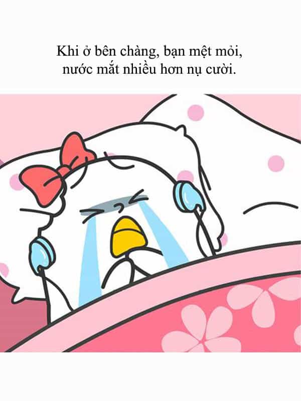 Giải Mã Tình Yêu - Chương 251 - ảnh 6