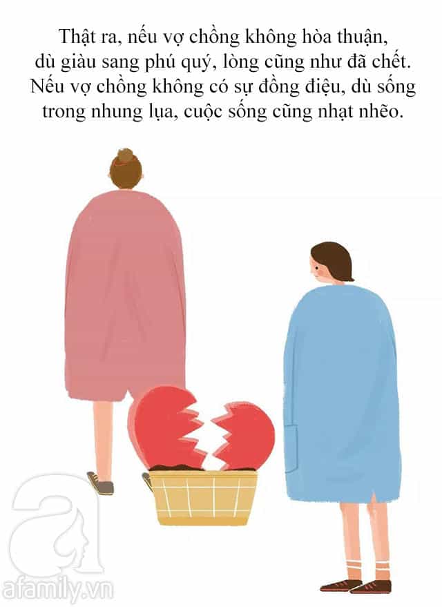 Giải Mã Tình Yêu - Chương 272 - ảnh 2