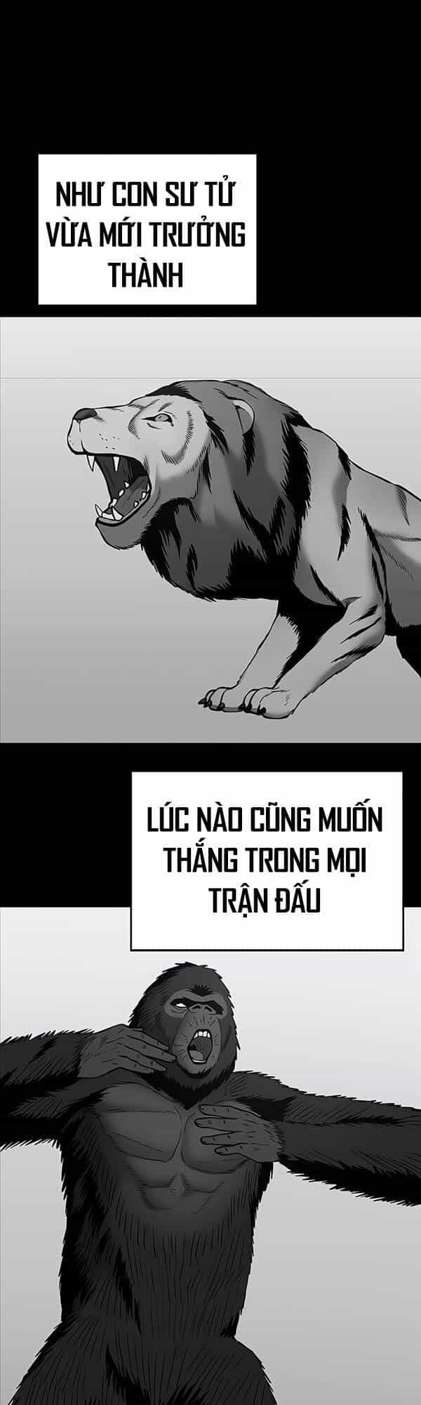 Giang Hồ Thực Thi Công Lý - Chương 49 - ảnh 8