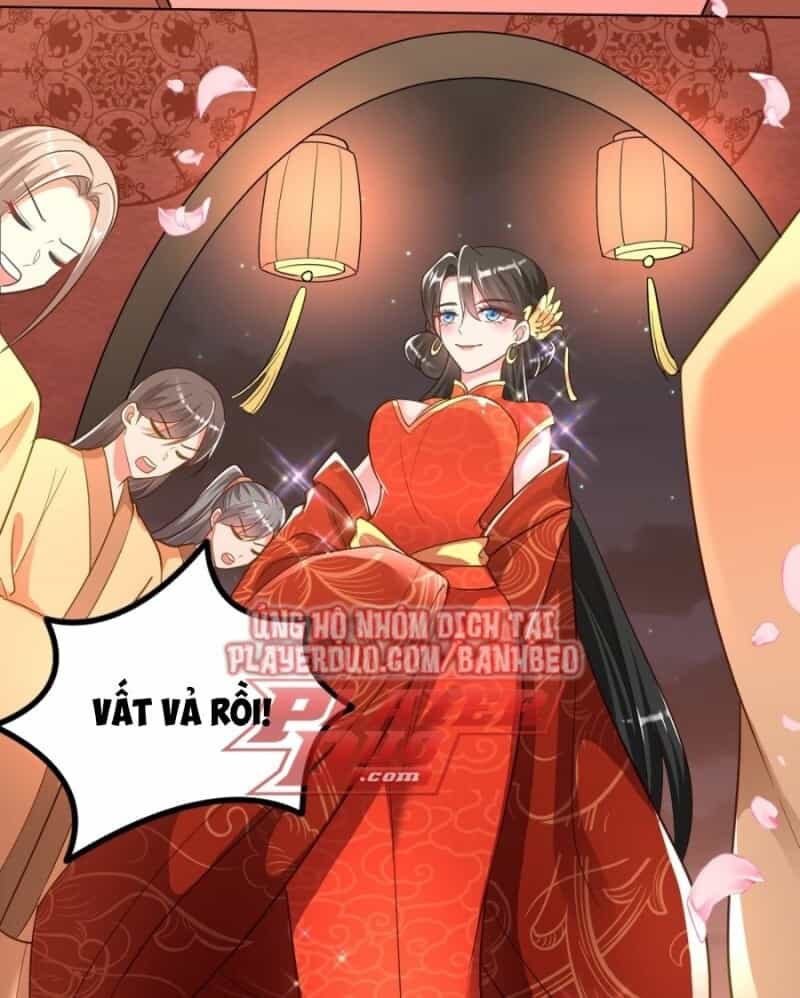 Giang Sơn Mỹ Nam Nhập Trướng Ta - Chương 5 - ảnh 12