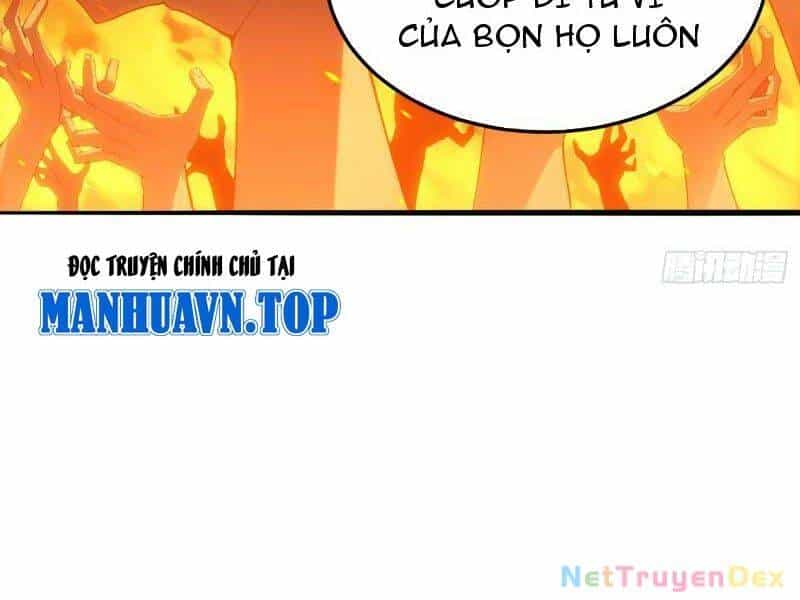 Giết Ta Thêm Vài Lần Nữa, Ta Liền Trở Thành Vô Địch! - Chương 34 - ảnh 11