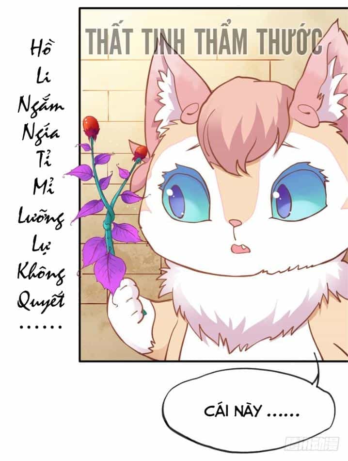 Giữ Chặt Tiểu Bạch Long - Chương 30 - ảnh 10