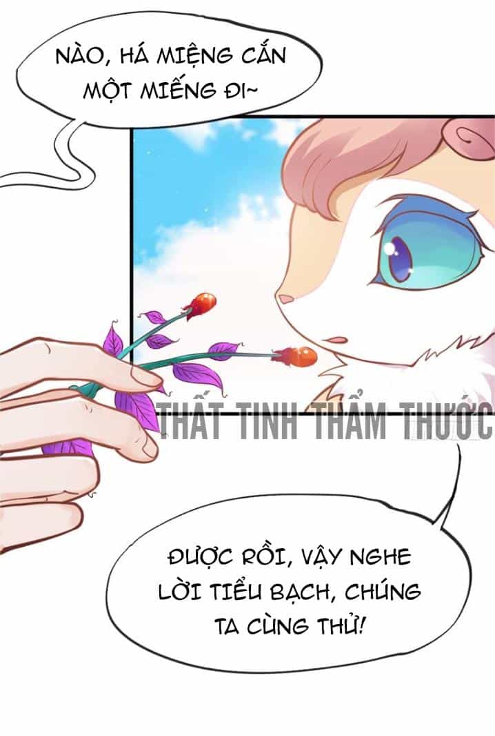 Giữ Chặt Tiểu Bạch Long - Chương 31 - ảnh 11