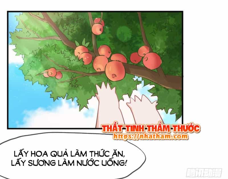 Giữ Chặt Tiểu Bạch Long - Chương 51 - ảnh 17