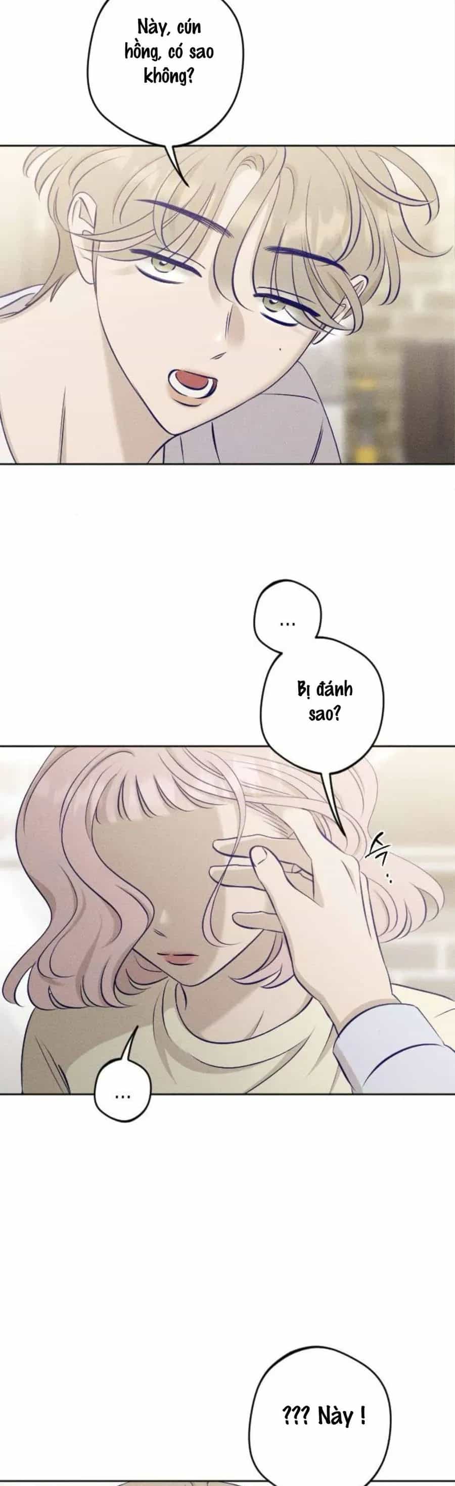 Gửi Đến Da Jeong Của Tôi - Chương 20 - ảnh 43