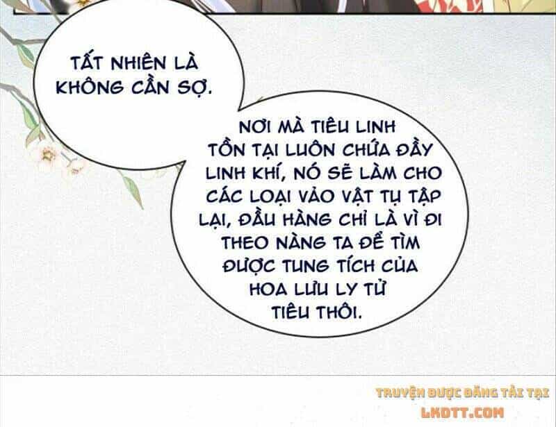 Hắc Hóa Nam Chính Trực Tuyến Nuôi Thỏ - Chương 51 - ảnh 21