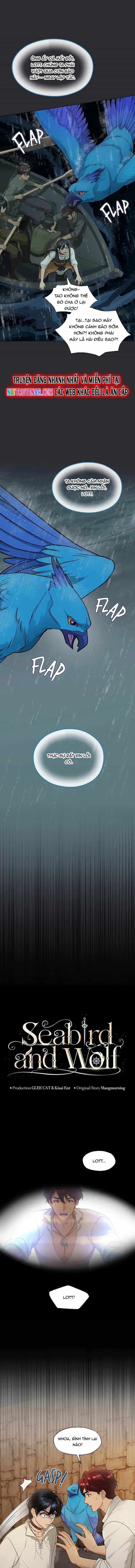 Hải Âu & Sói Hoang - Chương 45 - ảnh 2