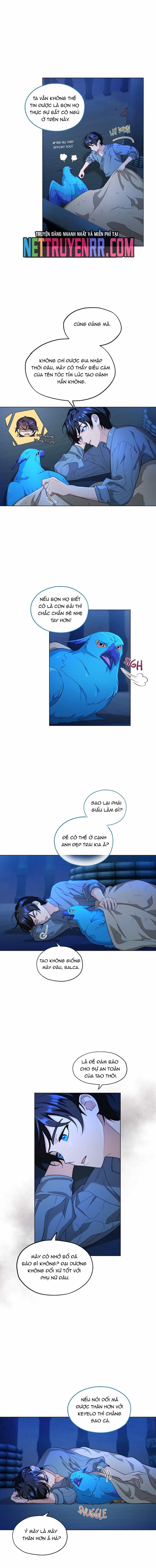 Hải Âu & Sói Hoang - Chương 8 - ảnh 2