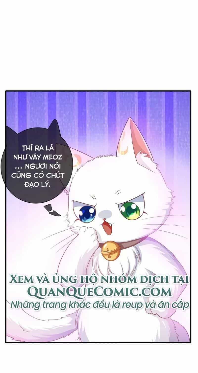 Hài Đế Vi Tôn - Chương 6 - ảnh 21