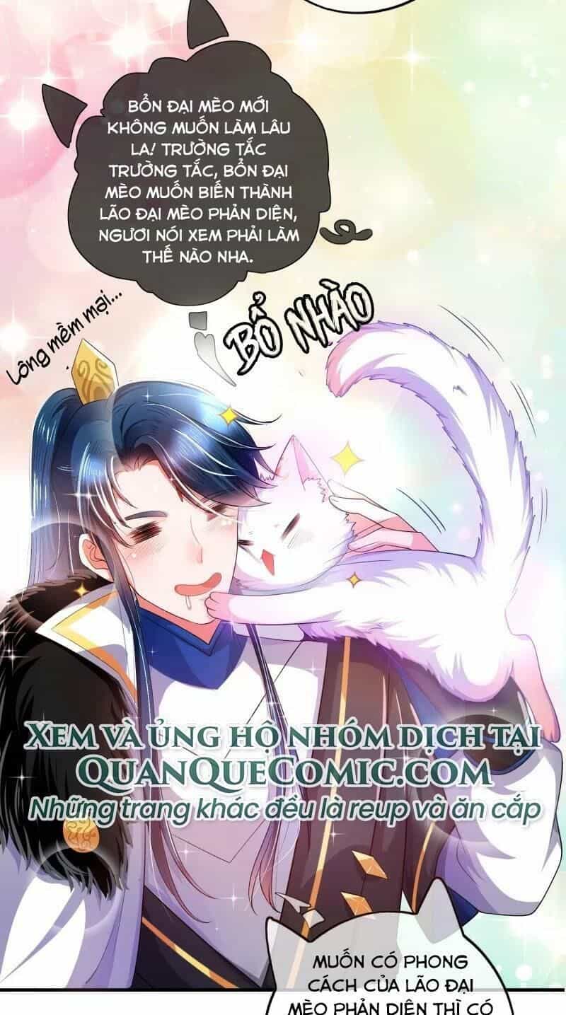 Hài Đế Vi Tôn - Chương 6 - ảnh 29